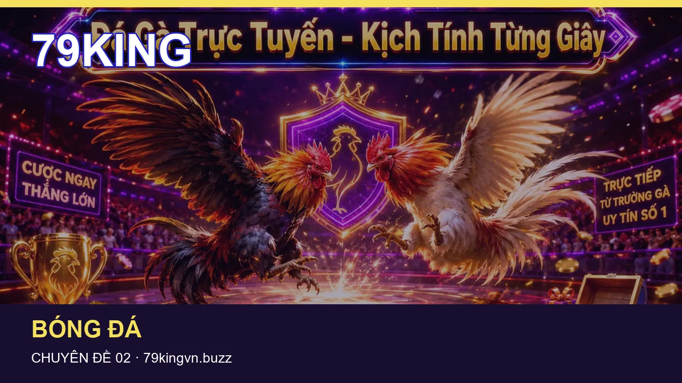 Đối chiếu nguồn và thời điểm cập nhật trong Hỏi đáp của 79KING
